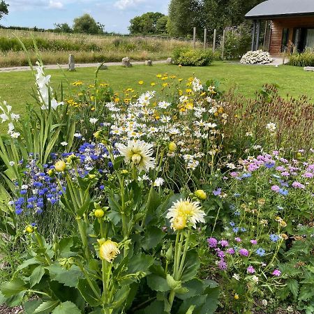 Foxglove Glastonbury Luaran gambar